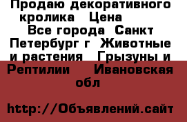 Продаю декоративного кролика › Цена ­ 500 - Все города, Санкт-Петербург г. Животные и растения » Грызуны и Рептилии   . Ивановская обл.